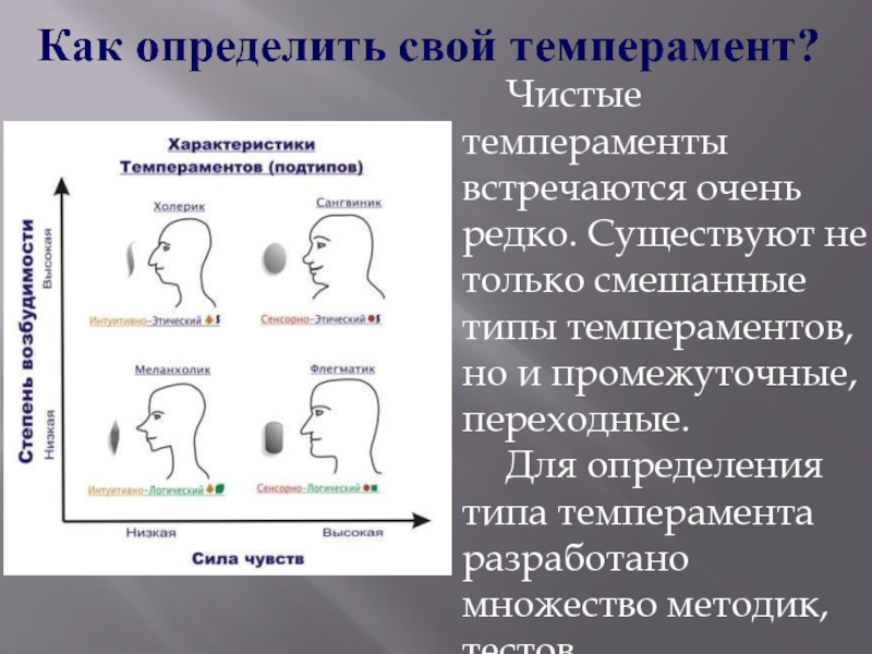 Описание типов определяемый тип. Смешанные темпераменты. Смешанный темперамент. Типы смешанных темпераментов. Смешанный Тип темперамента холерик-сангвиник.