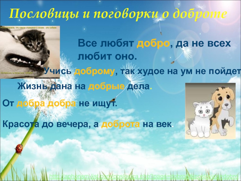 Слова со словом добро. Пословицы о доброте. Поговорки на слово доброта. Пословицы к слову добро. 4 Поговорки о доброте.