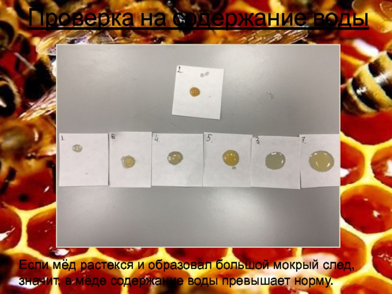 ТЕСТИРОВАНИЕ ЭКСПРЕСС-МЕТОДОВ ОПРЕДЕЛЕНИЯ ФАЛЬСИФИКАЦИИ МЕДА Проверка на содержание водыЕсли мёд растекся и образовал большой мокрый след, Проверка на содержание водыЕсли мёд растекся и образовал большой мокрый след, значит, в мёде содержание воды превышает