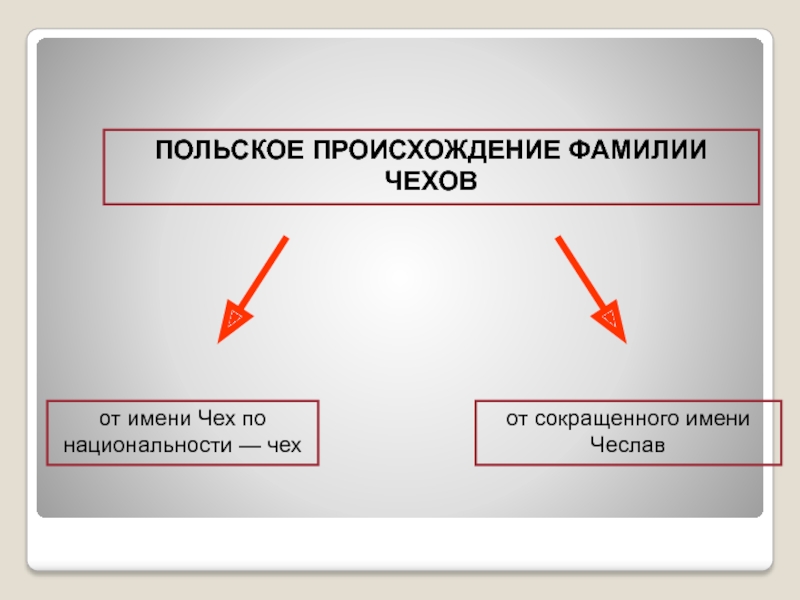 Польские фамилии