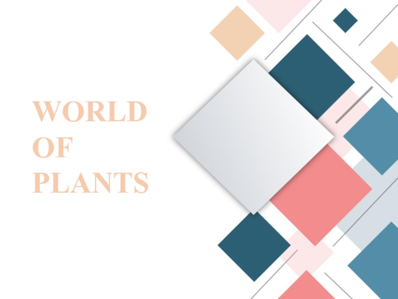 Презентация WORLD OF PLANTS