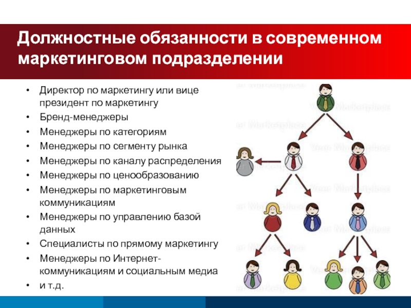 Карта функциональных обязанностей