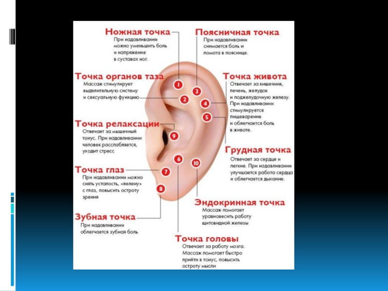Точки грипп. Точка релаксации на ухе. Биологические точки на ухе. Точки для расслабления.