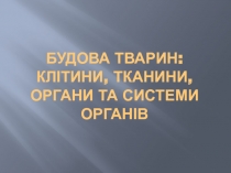 Будова тварин
