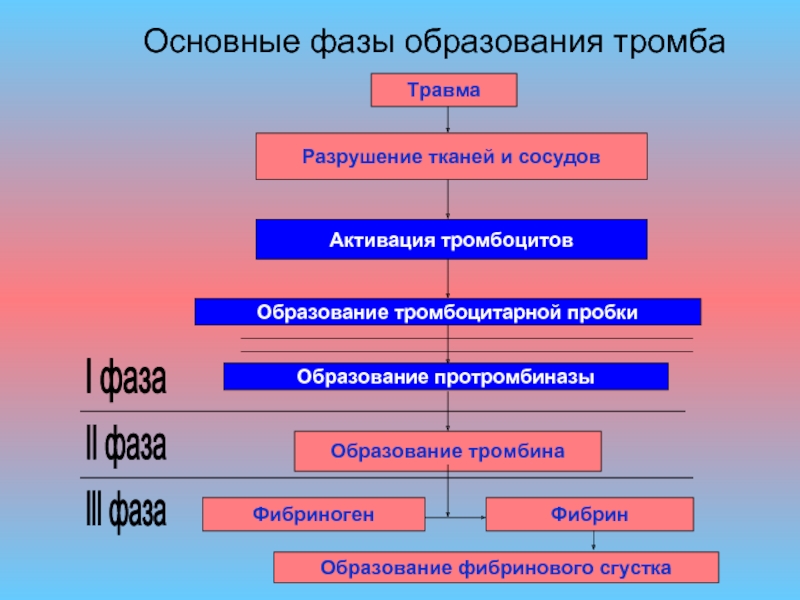 Образование тромба схема