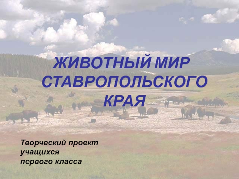 Животный мир Ставропольского края