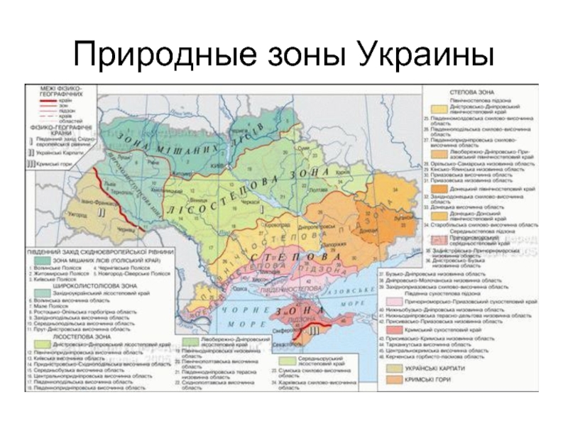 Зоны украины видео. Карта природных зон Украины. Зона Украины на карте. Природные зоны Украины слайд. Карта климатических зон Украины.