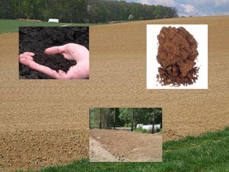 Защита почвы от загрязнения. Загрязнение почвы. Загрязнение почвы тяжелыми металлами. Очищение почвы. Отравленная почва.