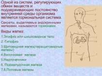 Одной из систем, регулирующих обмен веществ и поддерживающих постоянство