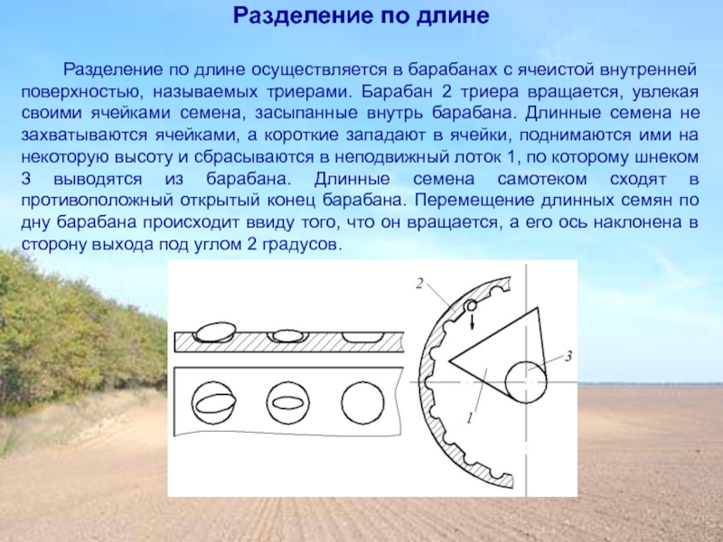 Разделяющая поверхность. Ячеистые поверхности Триера. Какая поверхность называется ориентируемой. Разделение поверхности на случайные части.