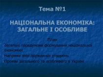 Національна економіка: загальне і особливе