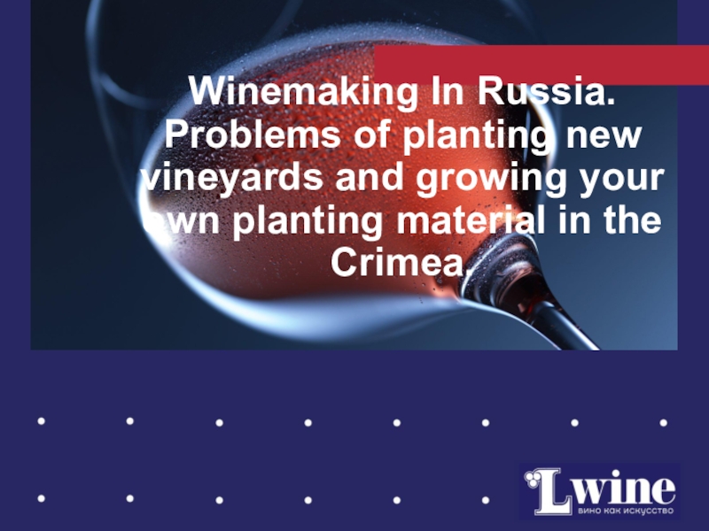 Winemaking In Russia. Problems of planting new vineyards and growing your own