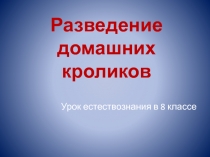 Разведение домашних кроликов