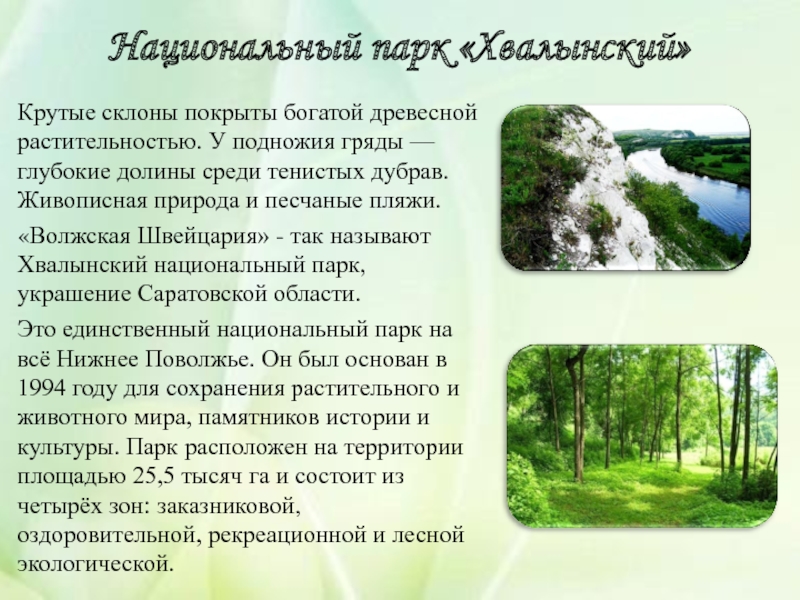 Саратовские памятники природы
