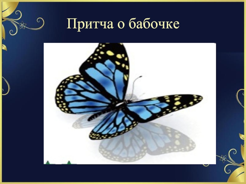 Презентация притча про бабочку