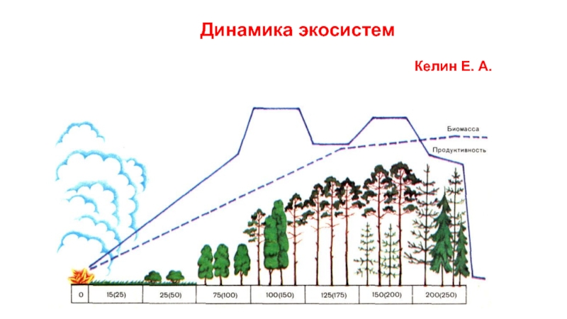 Динамика экосистем
Келин Е. А