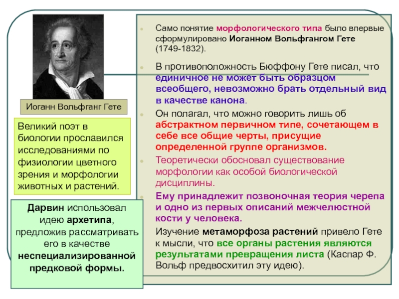 Принципы обучения впервые сформулировал. Гёте метаморфозы растений. Формулировка Иоганн. Учение о метаморфозах листа и. Гете;. Кто создал морфологическую концепцию.