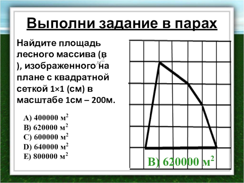 Найдите площадь лесного массива изображенного на плане с квадратной сеткой 1x1