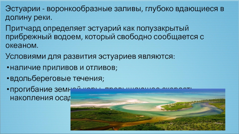 Деятельность поверхностных вод. Эстуарии( бухты, устья рек). Геологическая деятельность поверхностных текучих вод. Геологическая деятельность рек эстуария. Прибрежные равнины эстуарии.