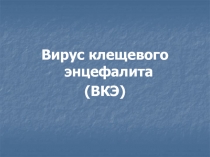 Вирус клещевого энцефалита
(ВКЭ)