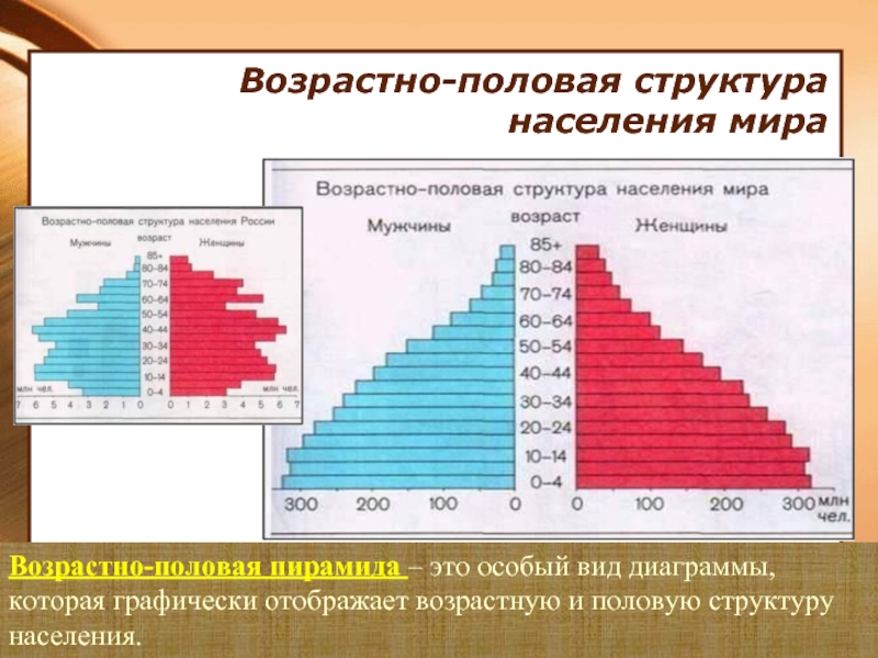 Возрастной состав населения россии презентация 8 класс география