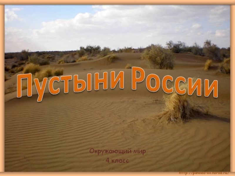 Презентация Пустыни России