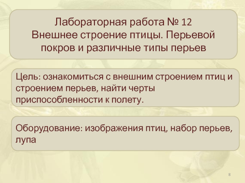 Лабораторная работа строение птиц. Лабораторная работа изучение внешнего строения птиц таблица. Внешнее строение птицы строение перьев лабораторная работа. Лабораторная работа«внешнее строение птицы. Строение перьев птиц».. Лабораторная работа строение перьев.