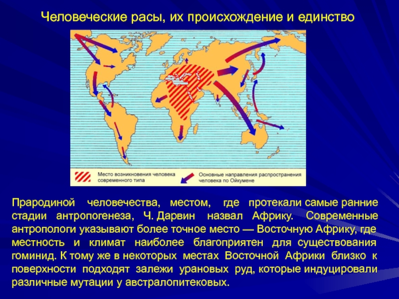 Прародина человека презентация 11 класс биология