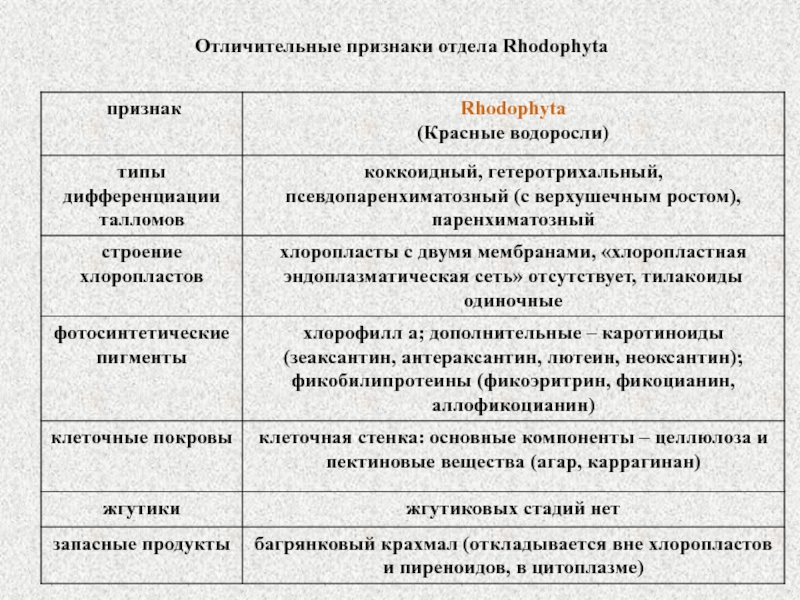 Признаки отдела. Rhodophyta признаки. Признаки отделов. Характеристика отдела Rhodophyta. Признаки, характерные для отдела красные водоросли - Rhodophyta.