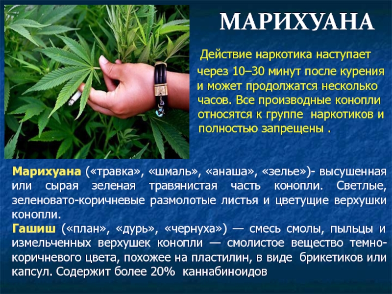 статья о наркотиках в украине
