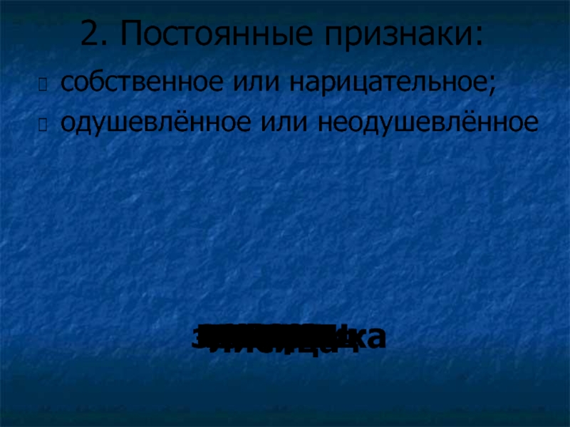 Большие постоянные признаки. Постоянные признаки собственное или нарицательное. Сообственной или собственой.