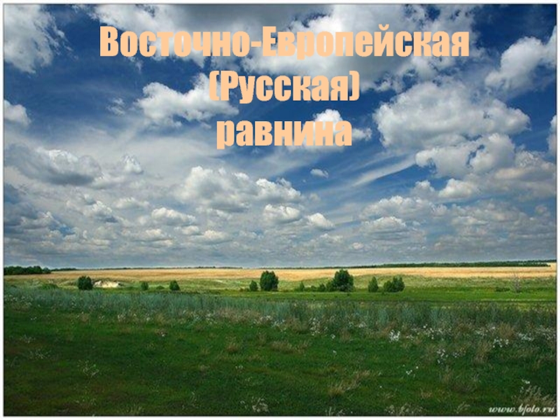 Презентация Восточно-Европейская (Русская) равнина.