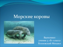 Морские коровы 3 класс