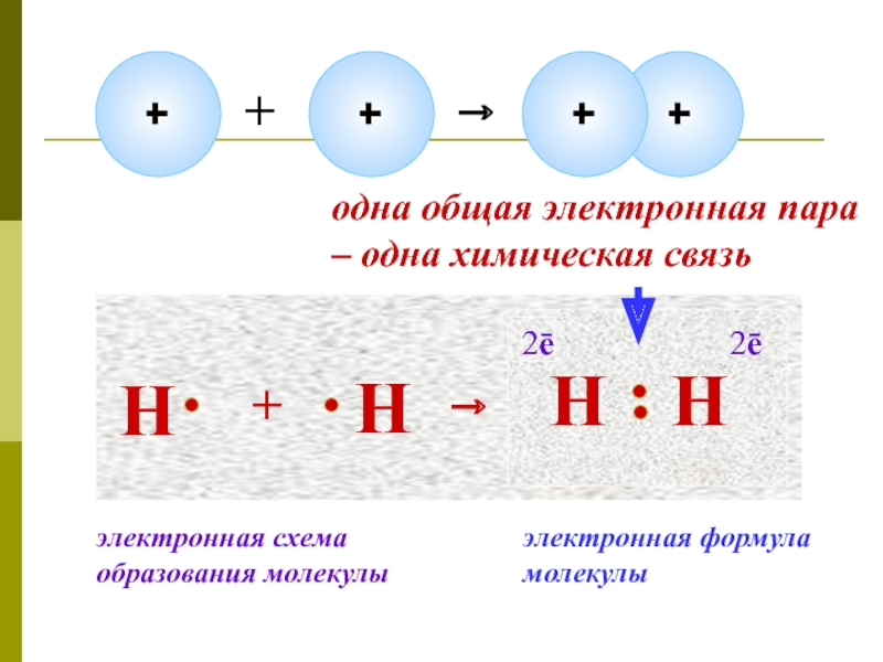 Схема образования cas