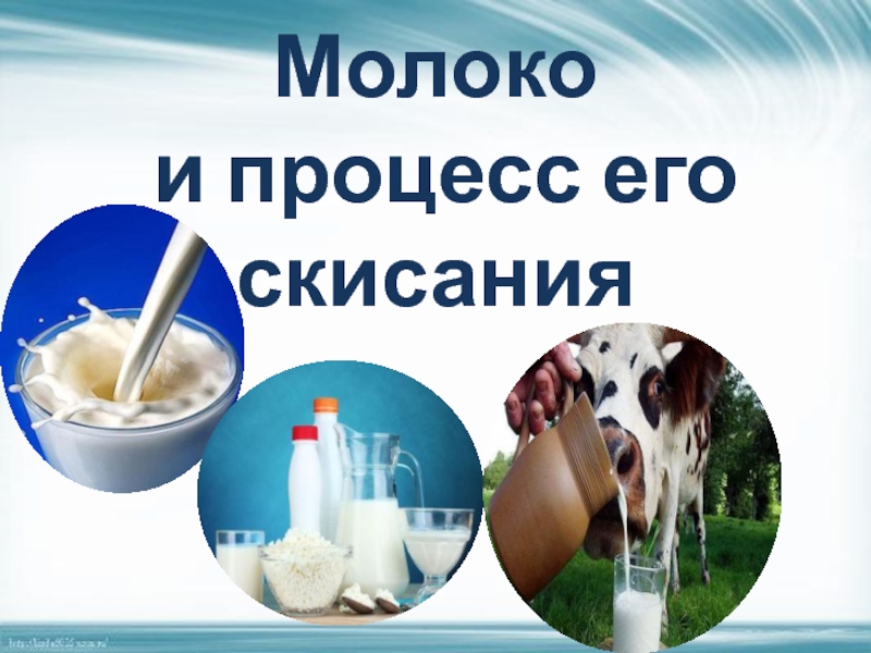 Презентация Молоко и процесс его скисания