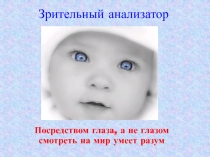 Зрительный анализатор
Посредством глаза, а не глазом
смотреть на мир умеет разум