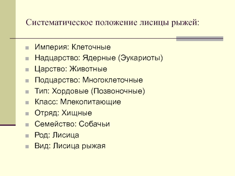 Хордовые систематическое положение. Систематическое положение животных. Систематическое положение млекопитающих. Систематическое положение царство животных. Систематическое положение класса млекопитающие.