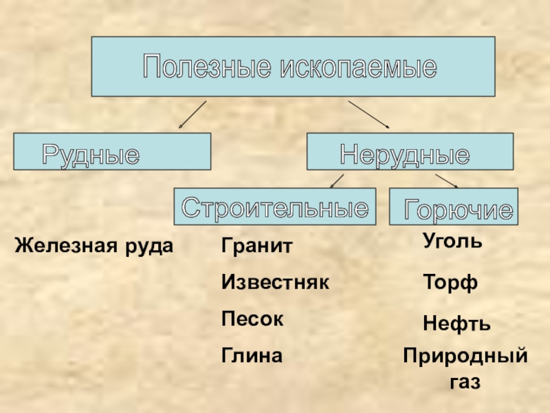 Заполните схему виды полезных ископаемых