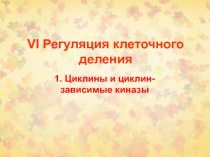 VI Регуляция клеточного деления