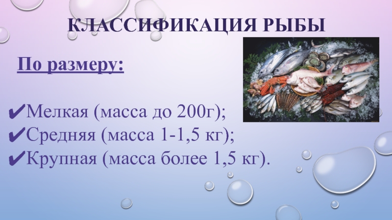 Классификация рыбы