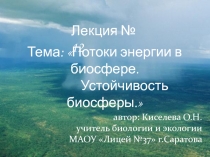 Потоки энергии в биосфере. Устойчивость биосферы 11 класс