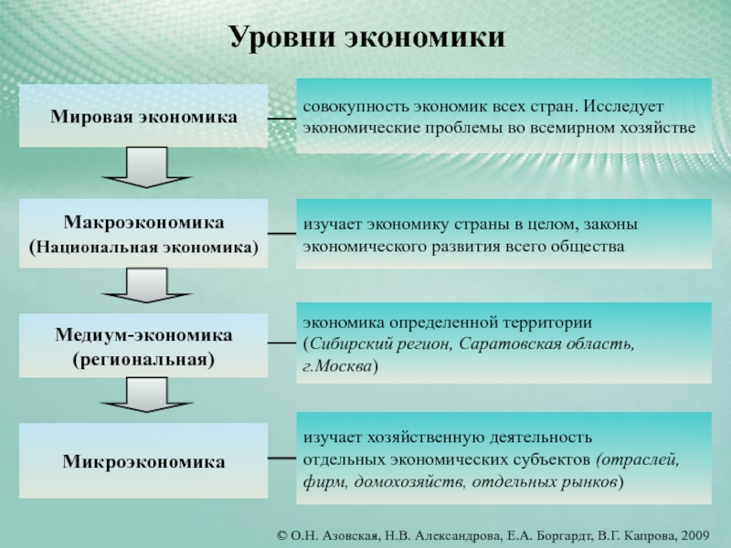 В экономике государства обычно различают макро и микроуровень план