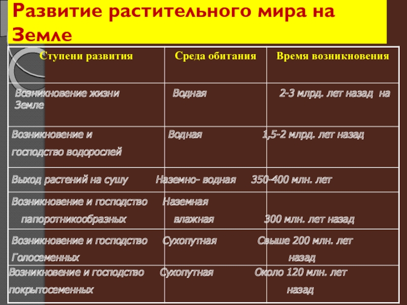 Схема исторического развития растительного мира