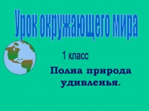 Неживая и живая природа. Явления природы