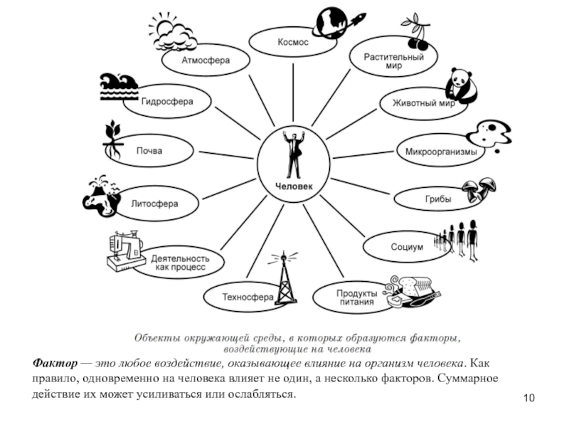 Человеческий элемент. Человек как элемент системы. Человек как элемент системы человек среда обитания. Совместимость элементов системы человек-среда. Человек как система компоненты системы.