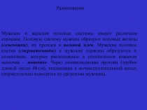 Размножение