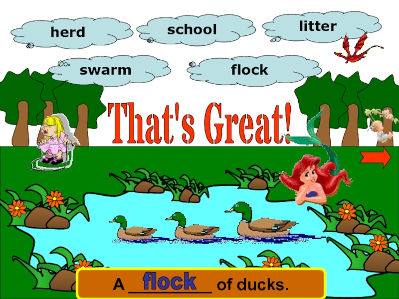 That's Great!
herd
school
litter
swarm
flock
A _________ of ducks.
flock