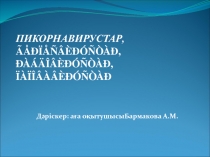 ПИКОРНАВИРУСТАР, ÃÅÐÏÅÑÂÈÐÓÑÒÀÐ, ÐÀÁÄÎÂÈÐÓÑÒÀÐ, ÏÀÏÎÂÀÂÈÐÓÑÒÀÐ