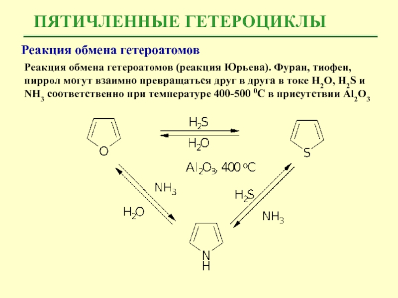 Пятичленные гетероциклы с одним гетероатомом