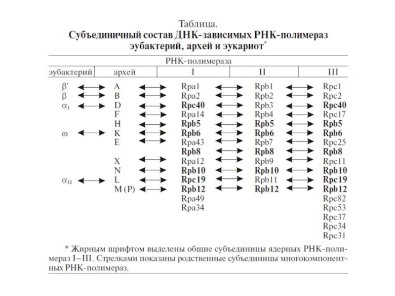 Матричная днк направление